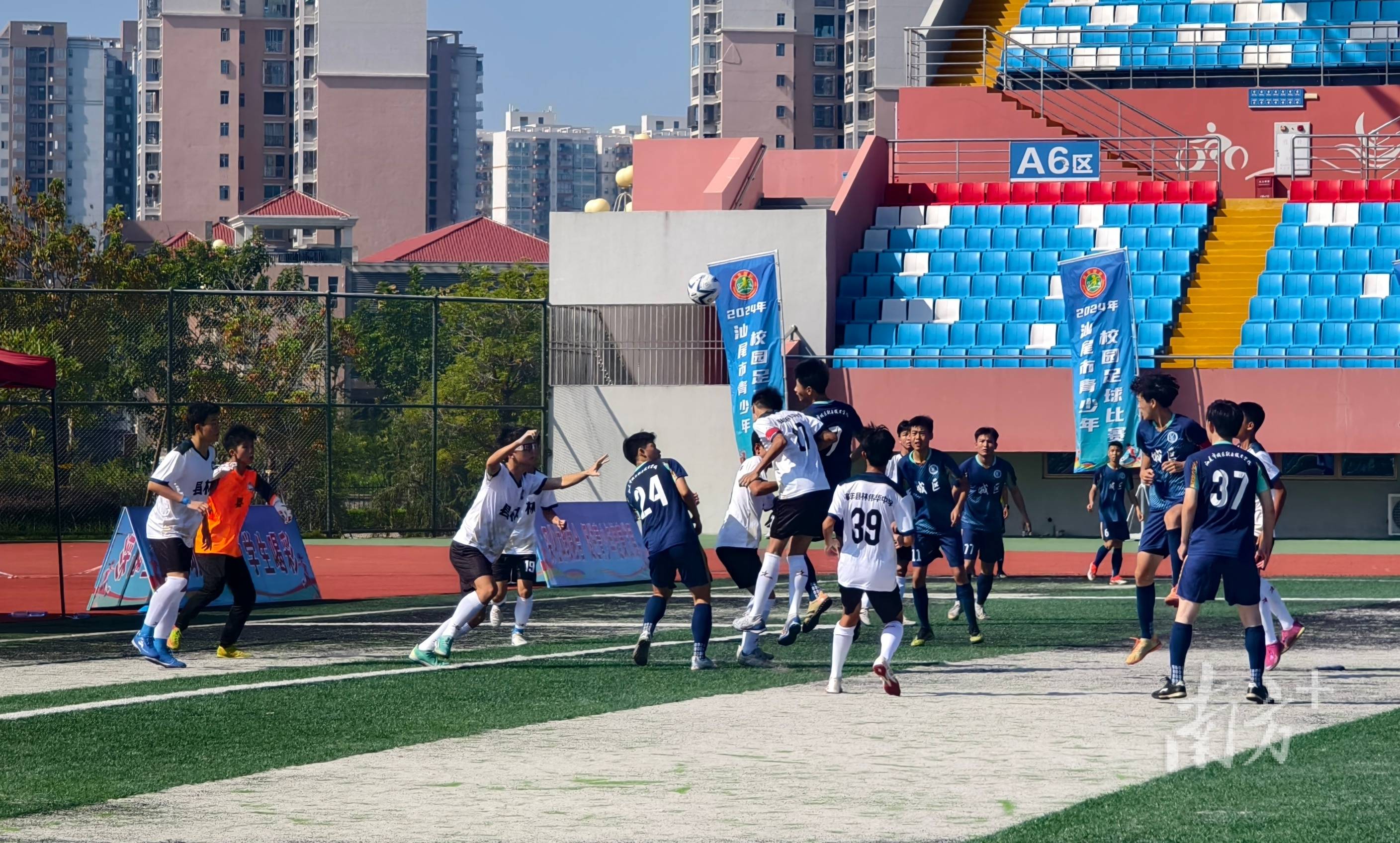 体育比赛为世界带来和谐与激情